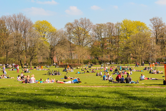 Kampf mit der Stadt Kieler Schrevenpark ohne Klo recht auf klo